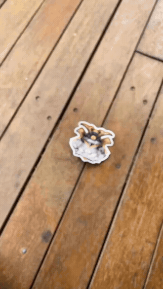 Shiny Glossy Sticker